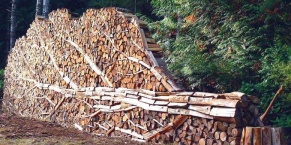  Рада має намір на 10 років заборонити експорт необробленого лісоматеріалу